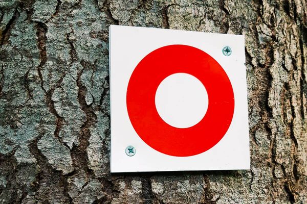 ¿Cuáles son las partes de un objetivo específico?